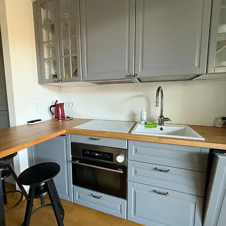 Jaukus Butas Su Erdvia Terasa *